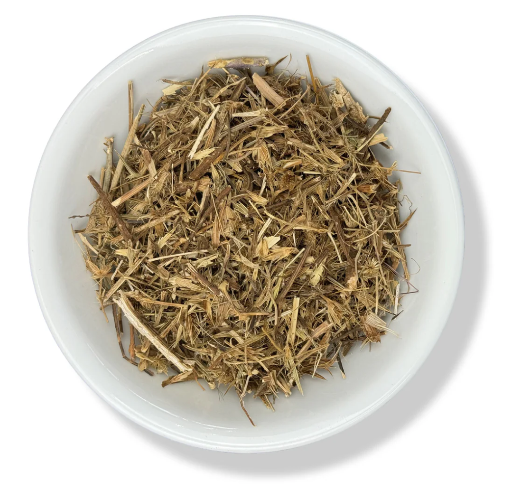 Hierba Del Sapo (Mexican Thistle)